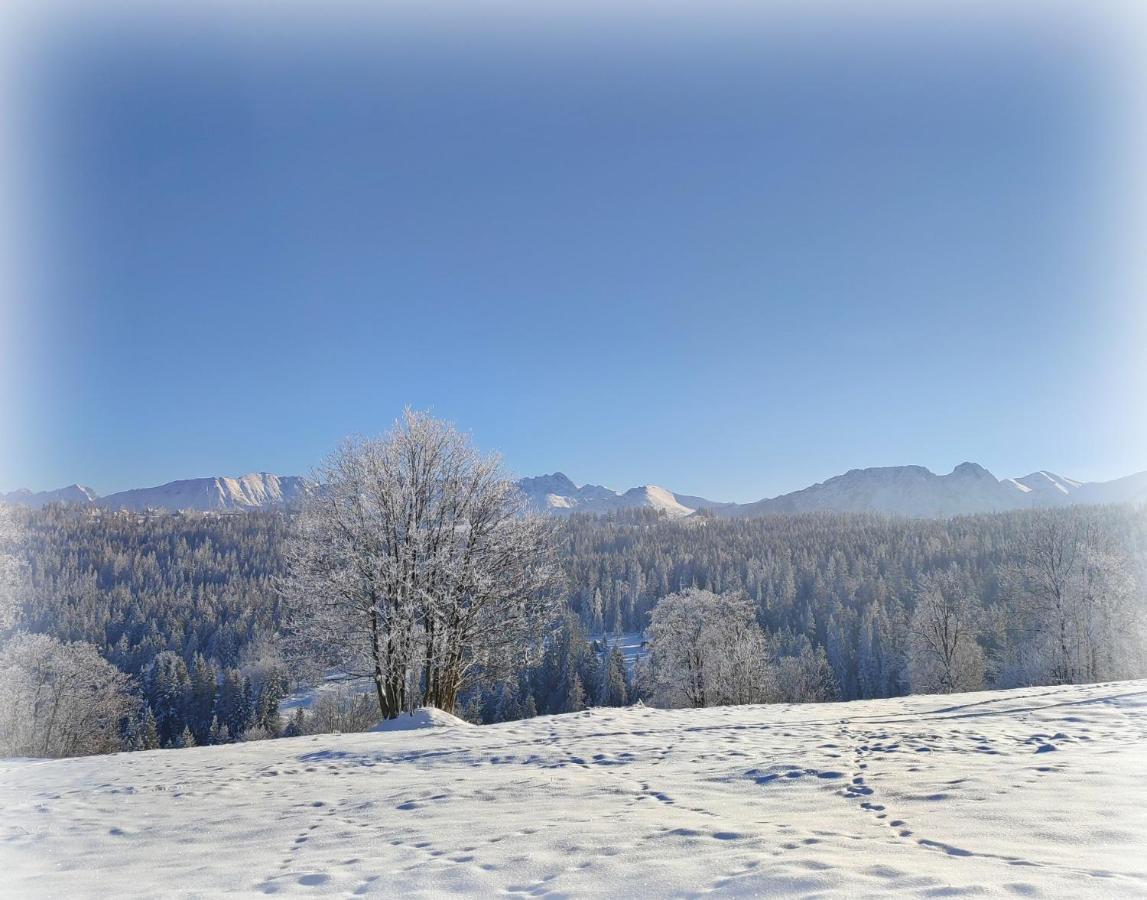 Willa Juna Tatry Nowe Bystre Kültér fotó