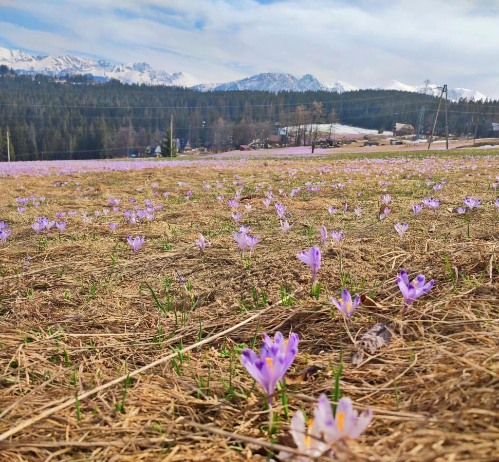 Willa Juna Tatry Nowe Bystre Kültér fotó
